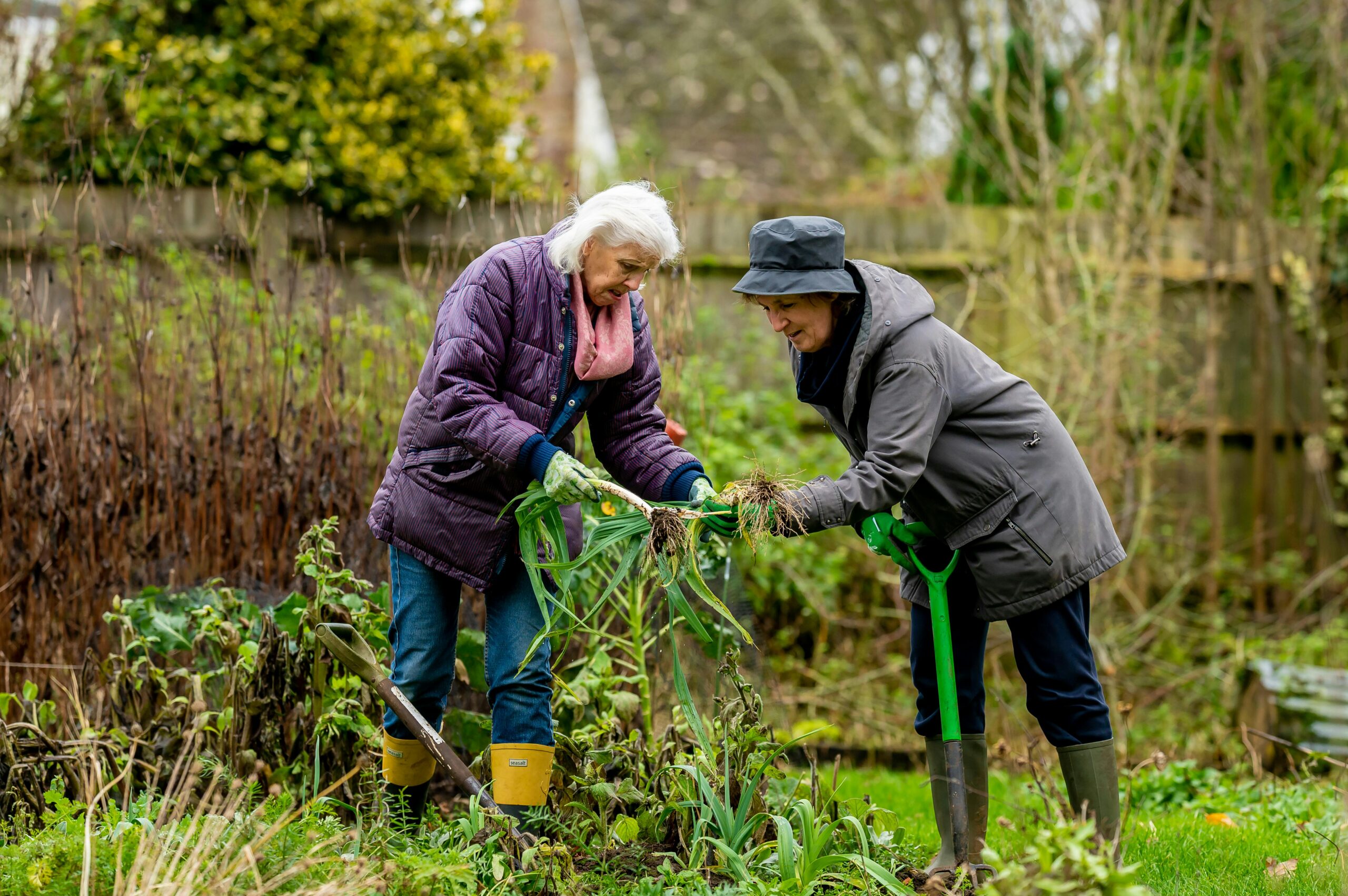 pexels-centre-for-ageing-better-55954677-7849457